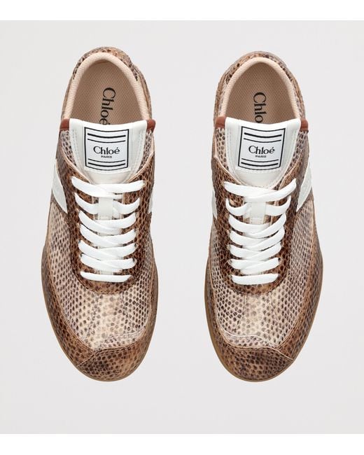 Chloé Brown Snake-Embossed Leather Kick Sneakers