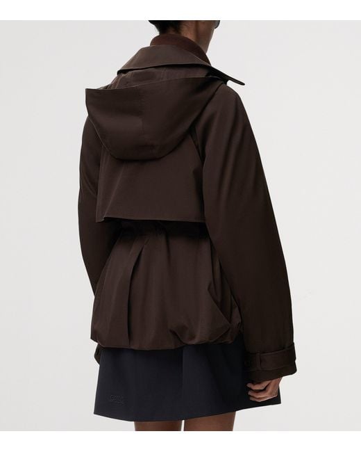 Loewe Brown Cotton Belted Short Trench Coat