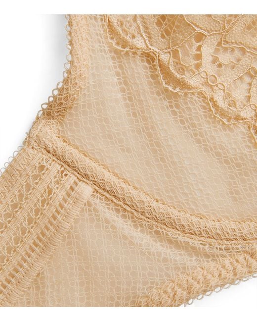 Wacoal Natural Lace Raffine Bra
