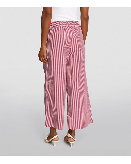 MAX&Co. Pink Cotton Poplin Cropped Trousers