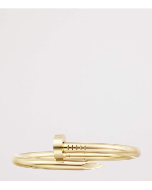 Cartier Metallic Juste Un Clou Bracelet