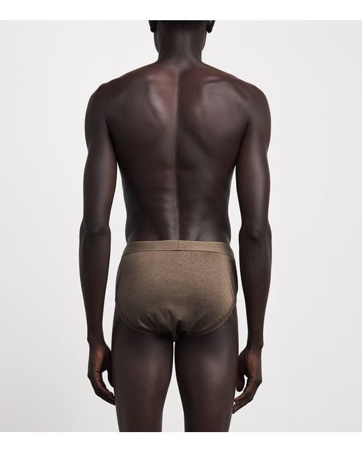 Zimmerli of Switzerland Brown Sea Island Cotton Briefs for men