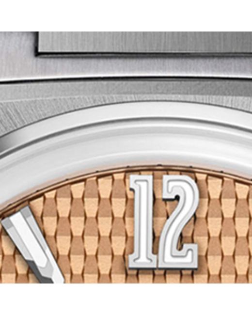 Czapek Metallic Stainless Steel Antarctique Passage De Drake Watch