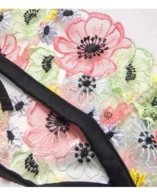 Fleur du Mal Blue Floral-Embroidered Azalea Thong