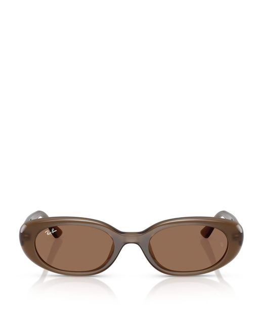 Ray-Ban Brown Injected Oval Sunglasses