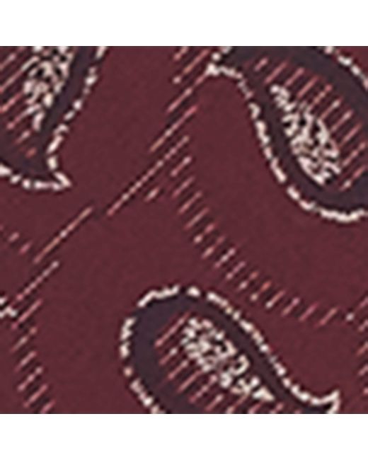 Giorgio Armani Purple Silk Paisley Jacquard Tie for men