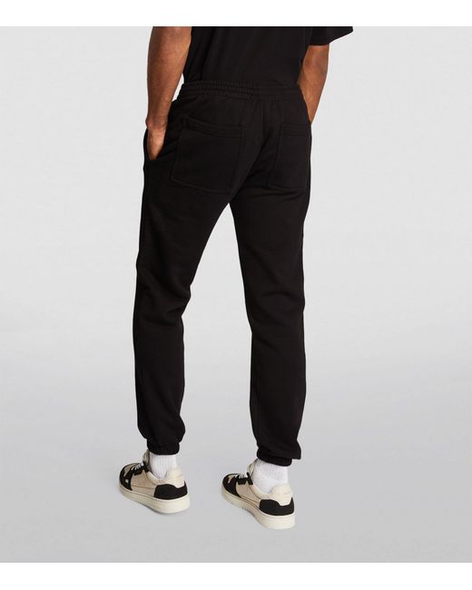 Represent Black Patron Of The Club Sweatpants for men