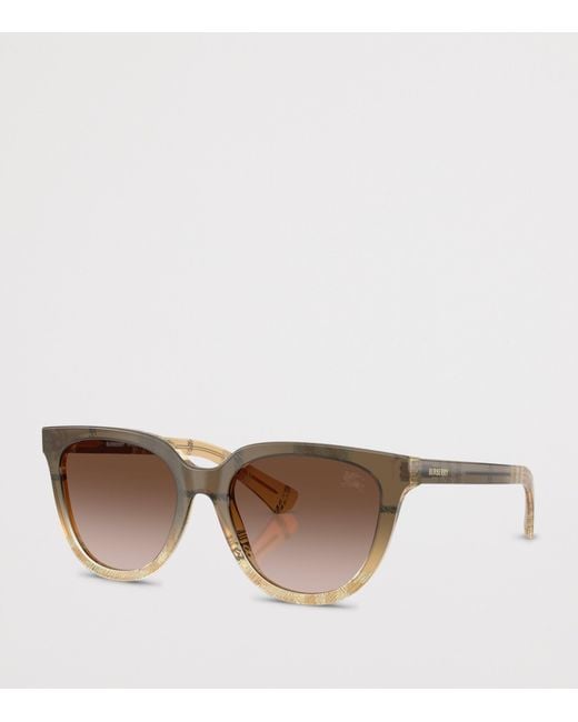 Burberry Brown Acetate Be4469 Phantos Sunglasses