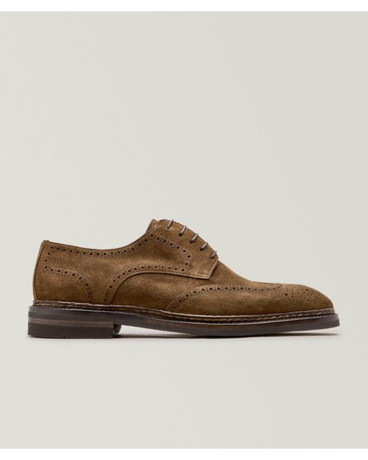 Bontoni Brown Suede Wingtip Derbies for men