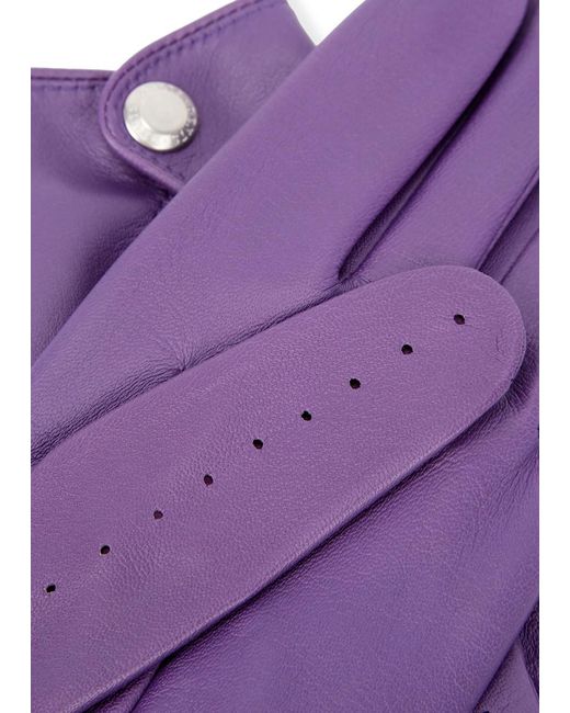 Dents Purple Thruxton Leather Gloves