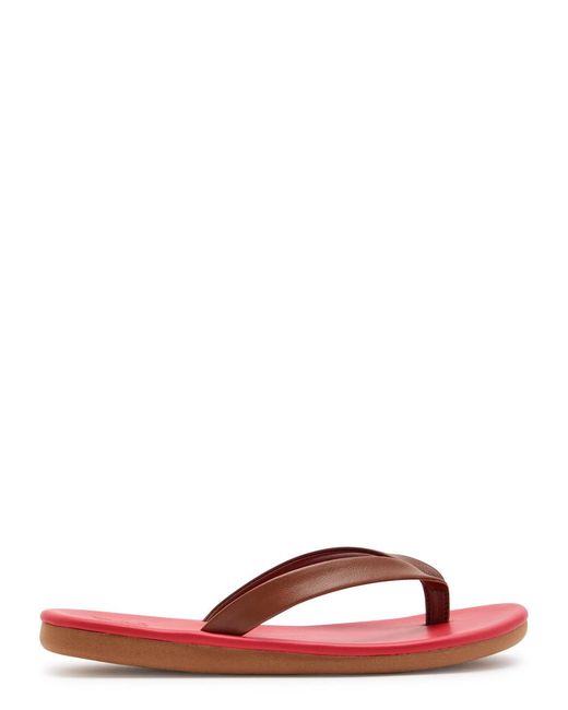 Ancient Greek Sandals Red Saionara Leather Flip Flops