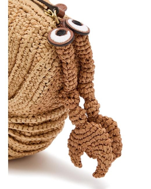 Anya Hindmarch Brown Hermit Crab Raffia And Leather Cross-Body Bag