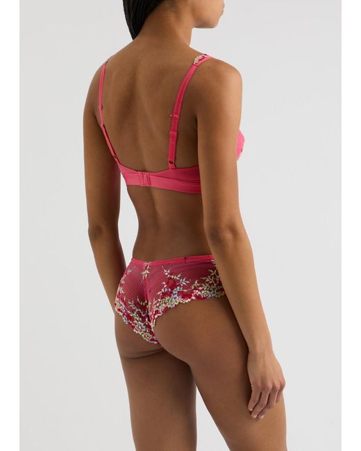Wacoal Pink Embrace Floral-Embroidered Lace Briefs