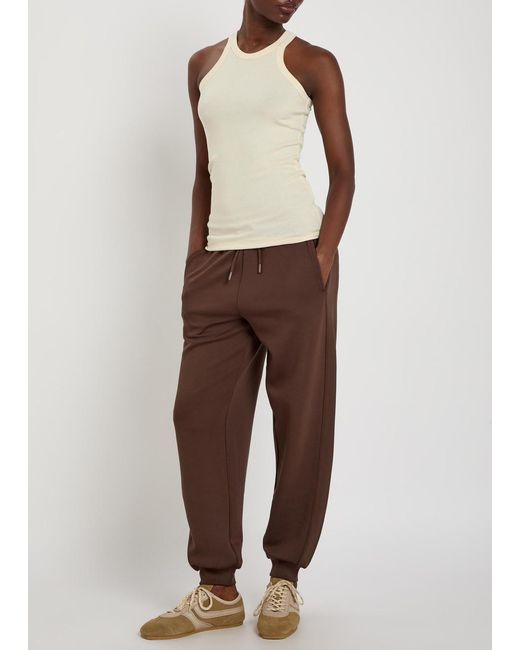 Now You Live Brown Uppingham Jersey Sweatpants