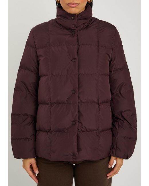 Moncler Purple Cochevinne Padded Shell Jacket