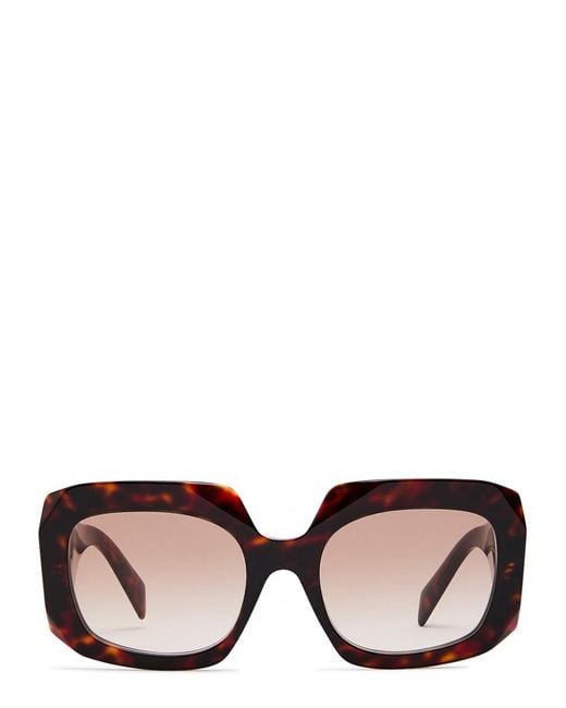 Prada Brown Oversized Sunglasses