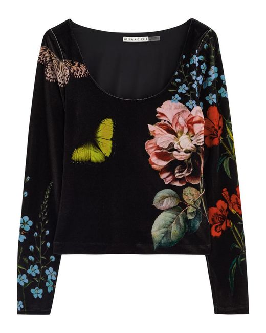 Alice + Olivia Black Delaina Scoop Neck Longsleeve Top