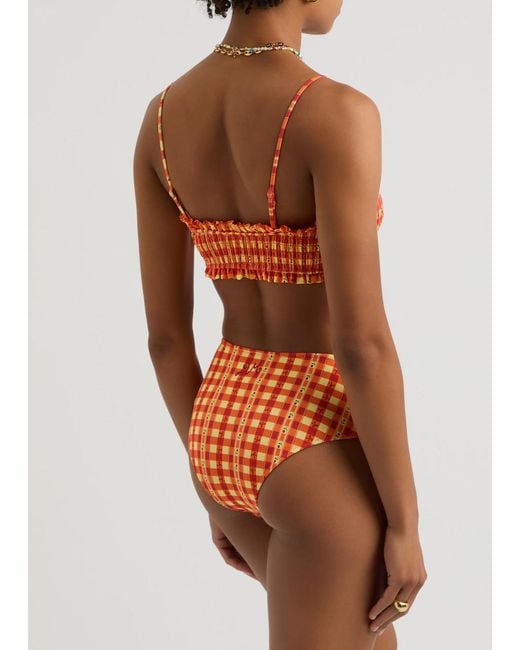 Damson Madder Red Jezebel Printed Bikini Top