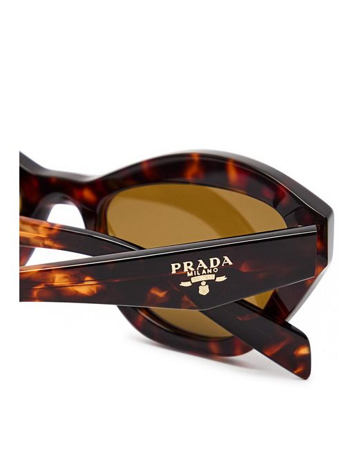 Prada Brown Cat-Eye Sunglasses