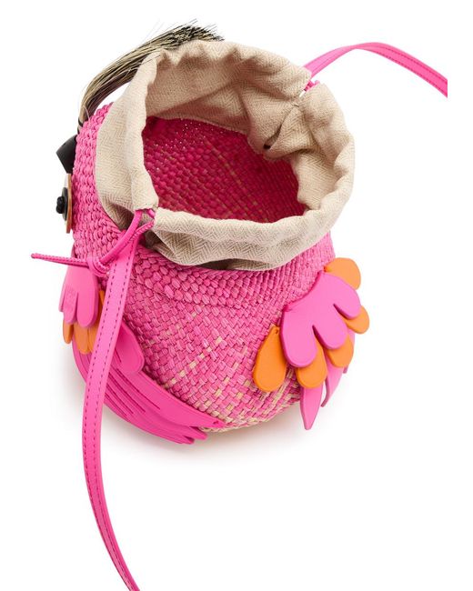 Loewe Pink X Paula'S Ibiza Bird Raffia Cross-Body Bag