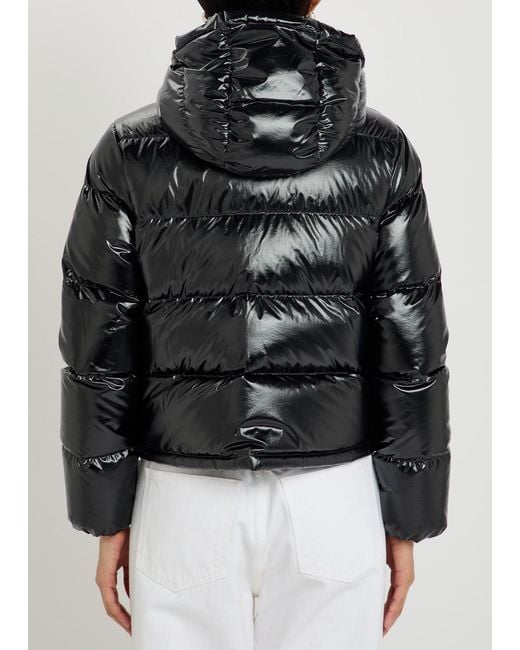 Moncler Black Niveole Padded Hooded Nylon Jacket