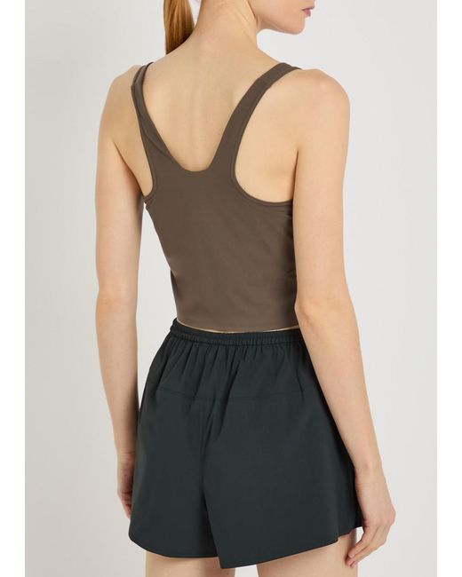 Spense Brown Martina Form Cropped Tank Top
