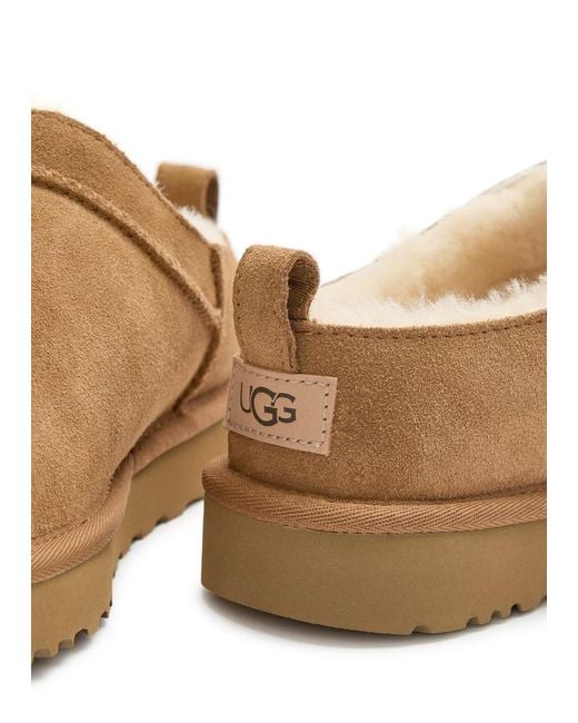Ugg Brown Classic Micro Suede Ankle Boots