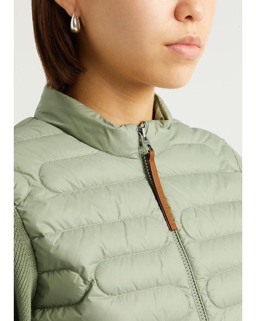 Moncler Green Quilted Shell And Cotton Jacket