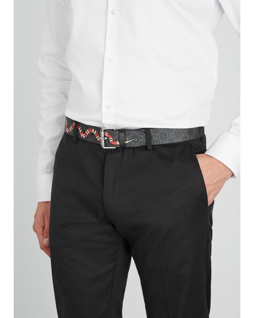 Gucci supreme snake belt sale