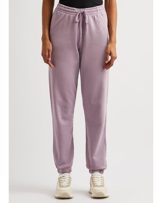 COLORFUL STANDARD Purple Cotton Sweatpants