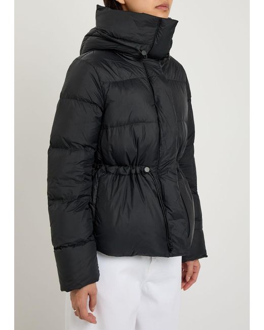 Canada Goose Black Montgomery Padded Shell Coat