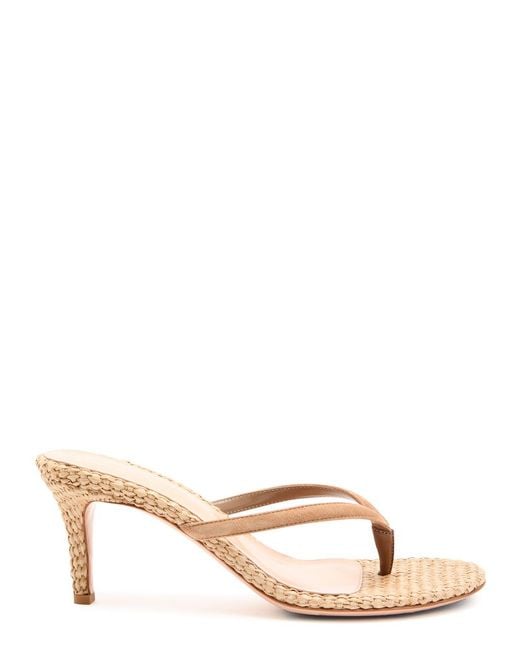 Gianvito Rossi Natural Calypso 70 Raffia Thong Mule