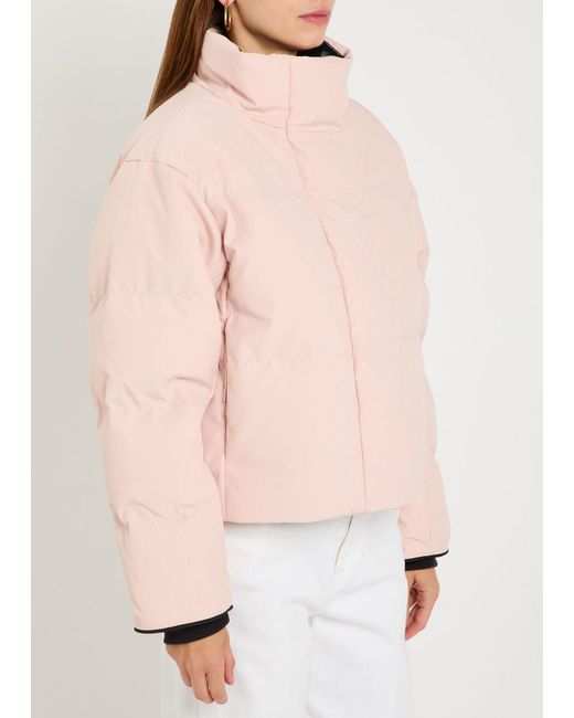 Canada Goose Pink Grandview Cropped Quilted Arctic-Tech Jacket