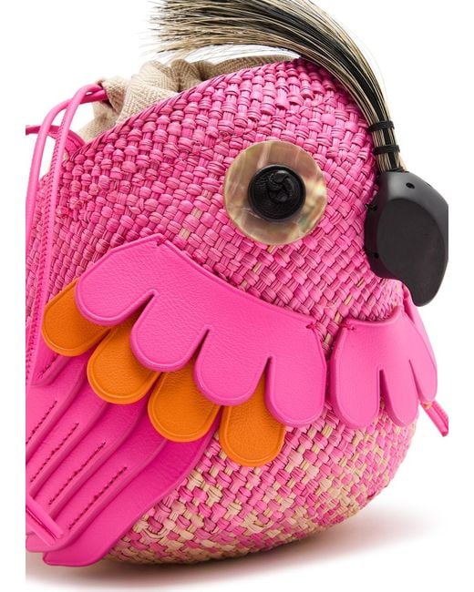 Loewe Pink X Paula'S Ibiza Bird Raffia Cross-Body Bag