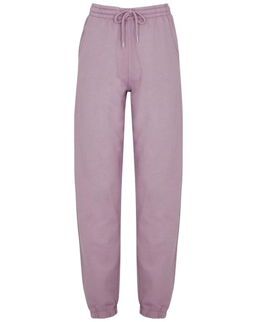 COLORFUL STANDARD Purple Cotton Sweatpants