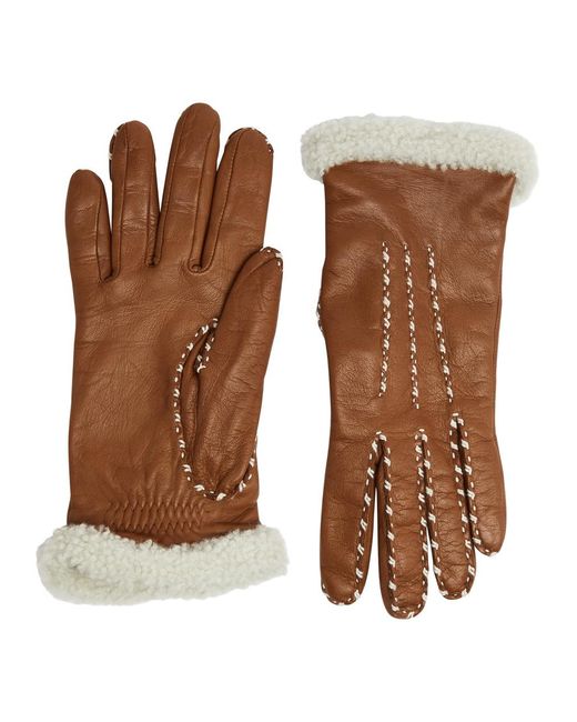 Agnelle Brown Marie Louise Leather Gloves