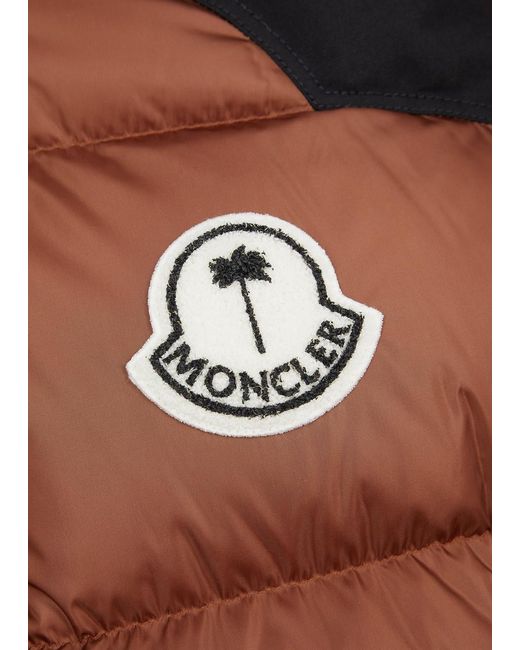 Moncler Genius Brown 8 Moncler Palm Angels Nevin Quilted Shell Jacket for men