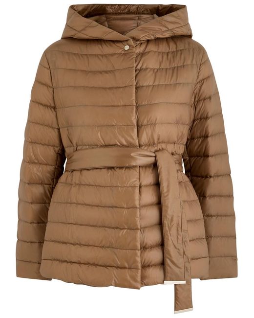 Herno Brown Hooded Quilted Shell Jacket