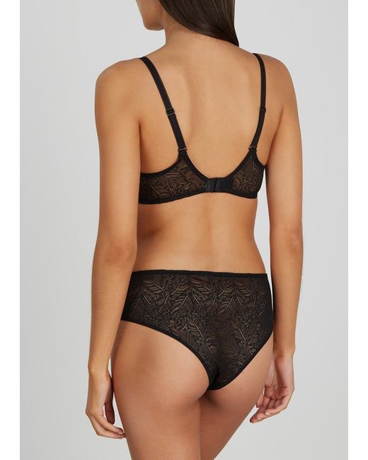 Simone Perele Black Comete Lace Briefs
