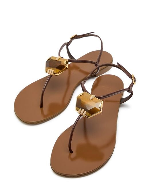 Giuseppe Zanotti Brown Ganass 10 Jewel-Embellished Leather Sandals
