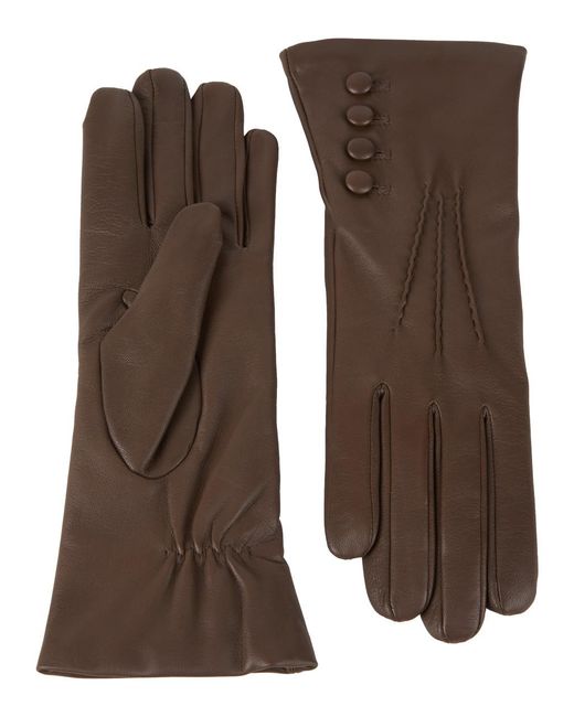 Dents Brown Evelyn Leather Gloves