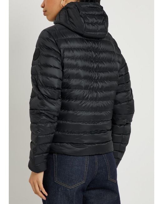 Canada Goose Black Aethera Padded Hooded Shell Jacket