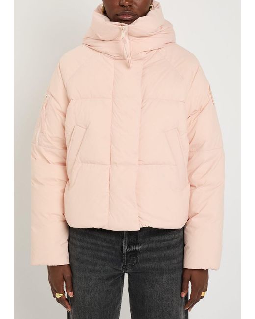 Canada Goose Pink Chilliwack Quilted Hooded Nylon Jacket