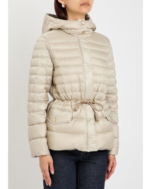 Moncler Natural Raies Hooded Padded Nylon Jacket