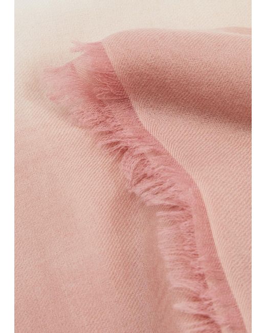 AMA Pure Pink Frame Fringed Cashmere Scarf