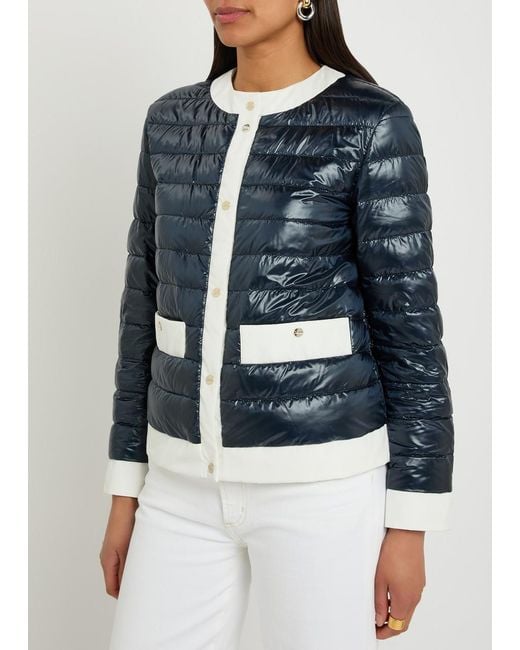 Herno Blue Contrasting Padded Glossed Shell Jacket