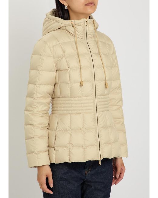 Moncler Natural Engoulevent Hooded Quilted Shell Jacket