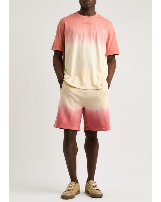 Lanvin Pink Dégradé Cotton Shorts for men