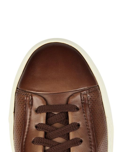 Santoni Brown Ducting Perforated Leather Sneakers for men