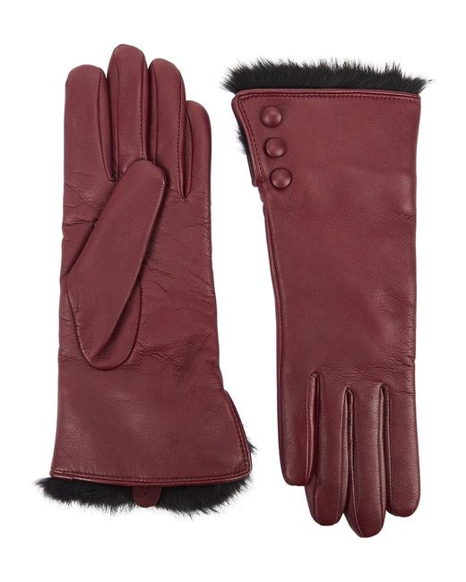 Dents Purple Sophie Fur-Trimmed Leather Gloves